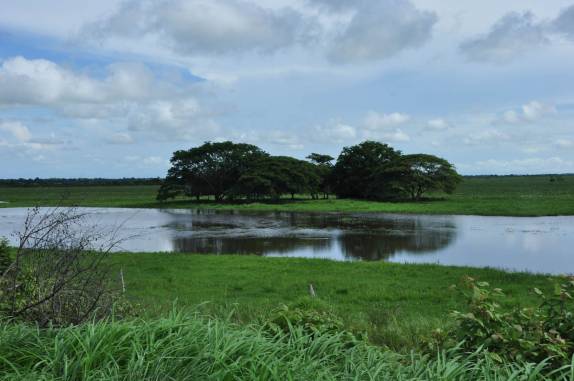 Chegando às planícies alagadas da região dos llanos, na Venezuela